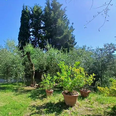 La Terrazza Di Luiano *